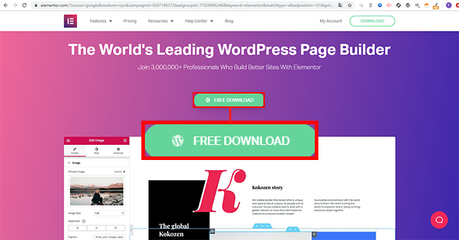 Wordpress Elementor